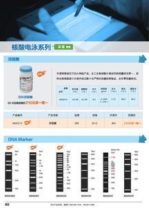 分子生物学甄选产品促销专辑 生工生物引领生命科学产品与技术服务新浪潮